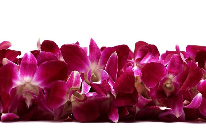 Deluxe Orchid Lei Greeting (Maui, Kahului Airport, OGG) - Key Points at a Glance