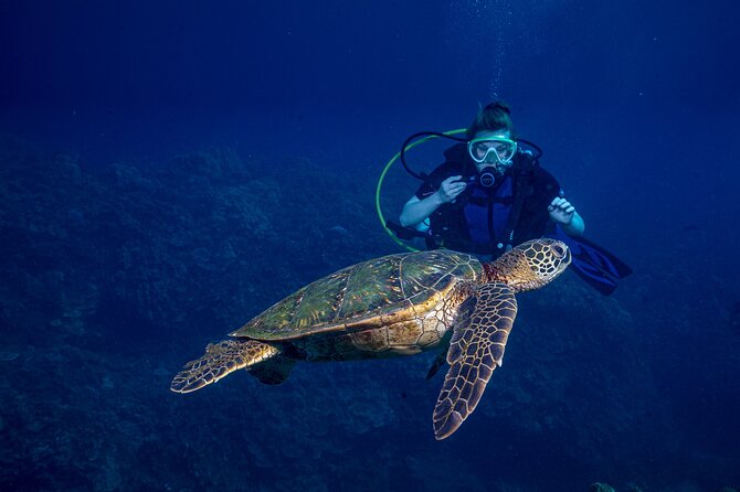 Discover Scuba Diving Class from Lahaina - What this Maui experience really offers