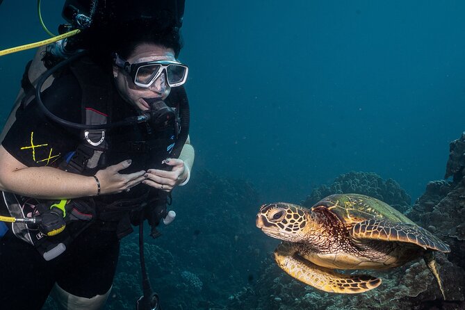 Discover Scuba Diving Class from Lahaina - The PADI eLearning comes first