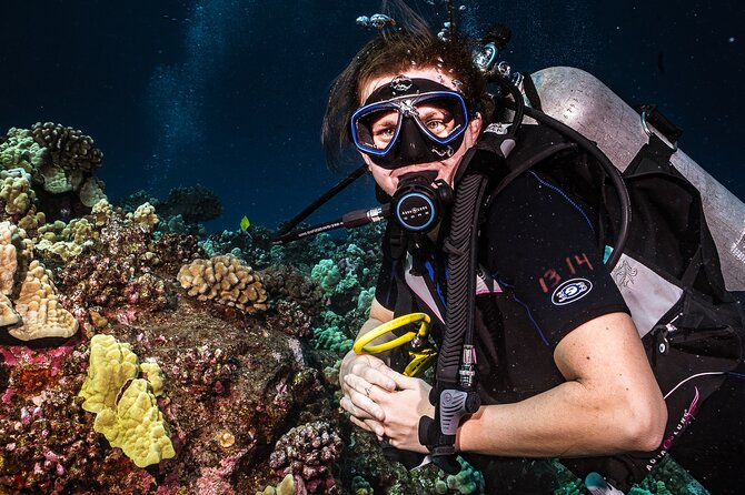 Discover Scuba Diving Class from Lahaina - Your three-hour schedule from Front Street