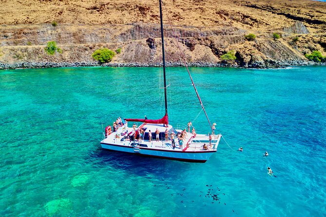 Discover the Magic of Coral Garden’s Turtle Town - Maalaea Harbor - What the snorkeling lesson adds