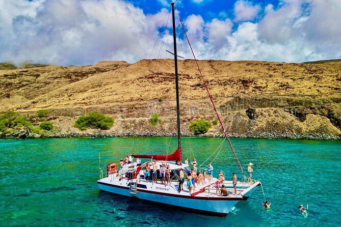 Discover the Magic of Coral Garden’s Turtle Town - Maalaea Harbor - Whale watching and other wildlife between stops