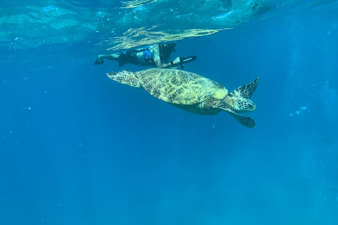 E-Scooter Snorkel With Photo and Video At Turtle Town - Why the small group matters at Makena Landing