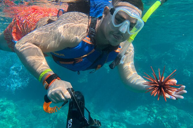 E-Scooter Snorkel With Photo and Video At Turtle Town - Should you buy the photo and video package?
