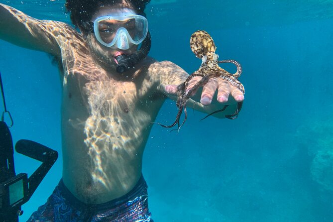 E-Scooter Snorkel With Photo and Video At Turtle Town - Practical details that can make the morning smoother