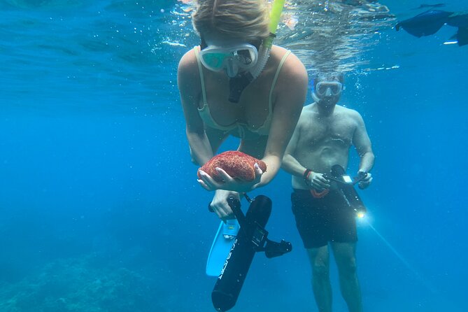 E-Scooter Snorkel With Photo and Video At Turtle Town - Turtle sightings and the reef’s smaller surprises