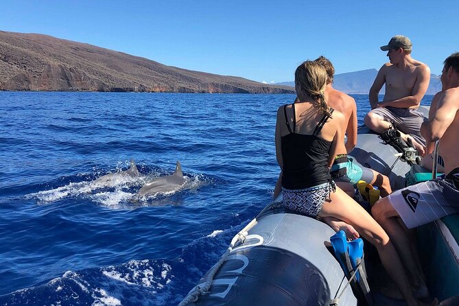 Eco-Raft Tour: Maui-Lanai Snorkel / Dolphin Watch (Semi-Private) - Choosing among the three tour options
