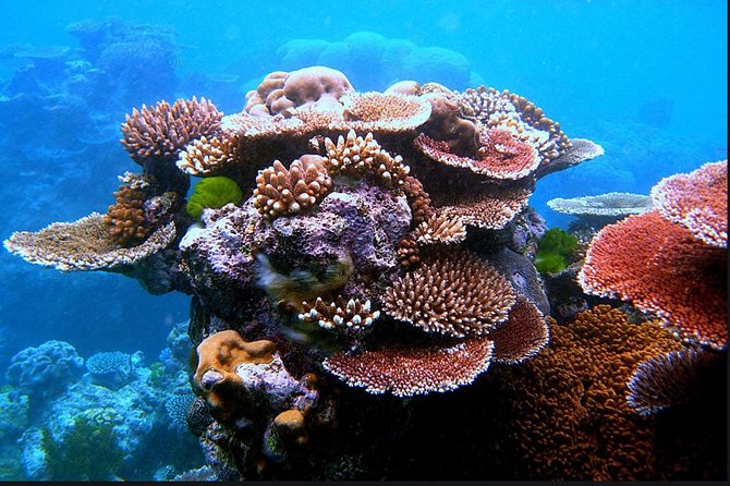 Eco Sea Scooter Guided Beach Tour From The Famous Kapalua Bay - Is $179 a fair price?
