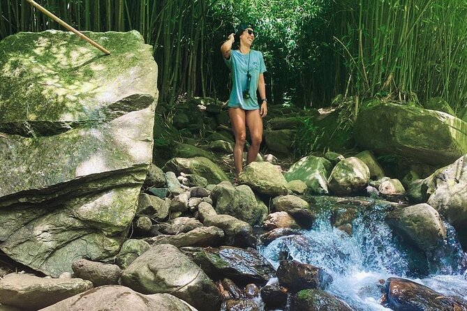 Epic Waterfall Adventure, the Best of Maui - Timing, group size, and cancellation details