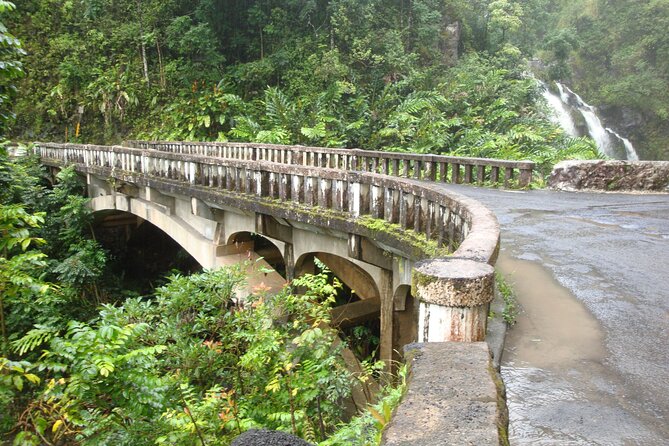 Famous Road to Hana Waterfalls, Black Sand Beach & Lunch - Pua‘a Ka‘a adds a possible swim
