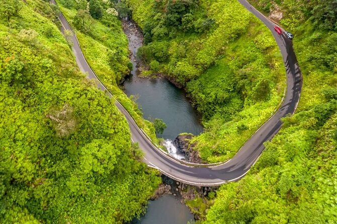 Famous Road to Hana Waterfalls, Black Sand Beach & Lunch - The return route includes valley views and unusual trees