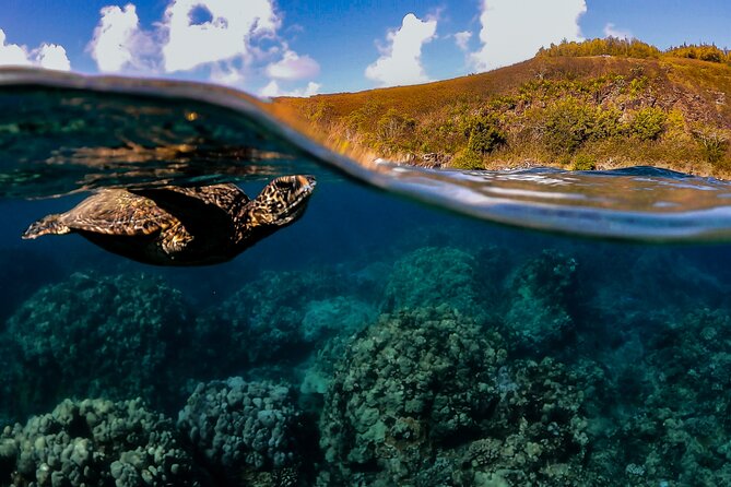 First Timers and Non-Swimmers Snorkeling Experience in Wailea - Key points to know before booking