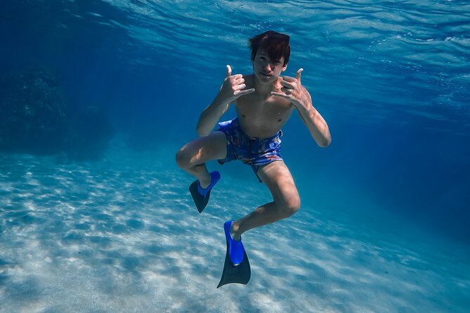 First Timers and Non-Swimmers Snorkeling Experience in Wailea - Photos and videos need a clear question before you go