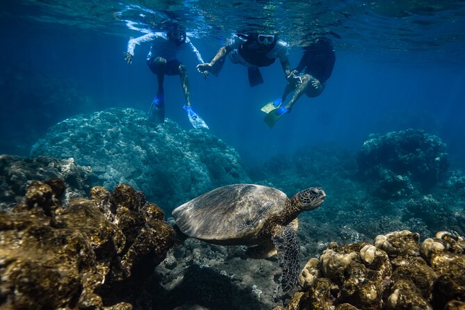 First Timers and Non-Swimmers Snorkeling Experience in Wailea - The real value of the $139 price