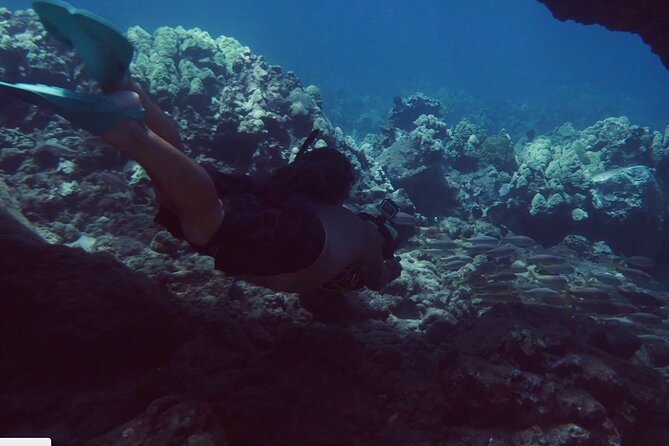 Flotation Therapy - Rental Float Suits, Goggles, Headphones 24 hr - Snorkeling, sea life, and the scooter question