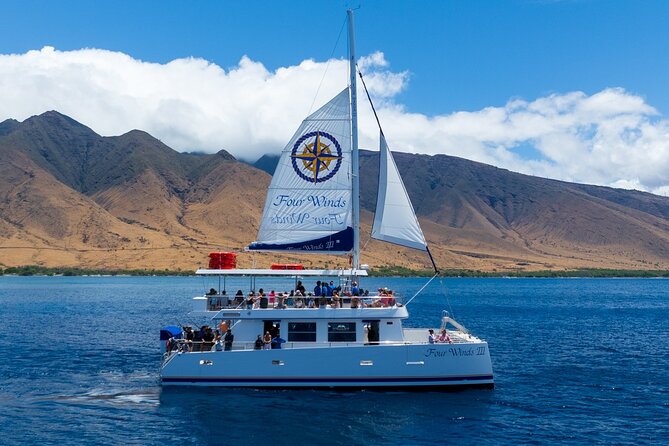 Four Winds Maui Afternoon Snorkel Tour to Coral Gardens - Is $135.73 a good value?