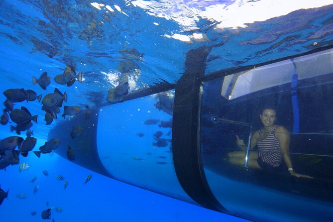 Four Winds Maui Afternoon Snorkel Tour to Coral Gardens - Practical details that make the day easier