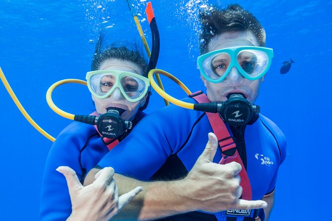 Four Winds Maui Afternoon Snorkel Tour to Coral Gardens - What Coral Gardens offers in the water