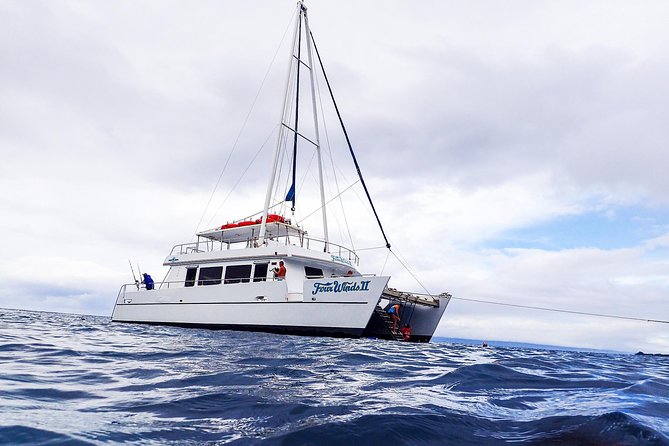 Four Winds Molokini Snorkeling Tour from Maalaea Harbor - Haleakala views and the ride to Molokini