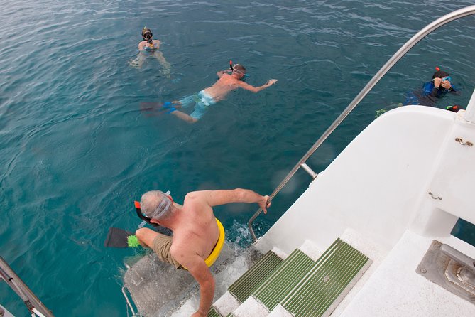 Four Winds Molokini Snorkeling Tour from Maalaea Harbor - Glass-bottom viewing for children and non-swimmers