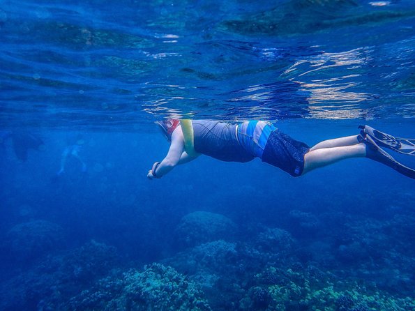 Four Winds Molokini Snorkeling Tour from Maalaea Harbor - What the crew does well