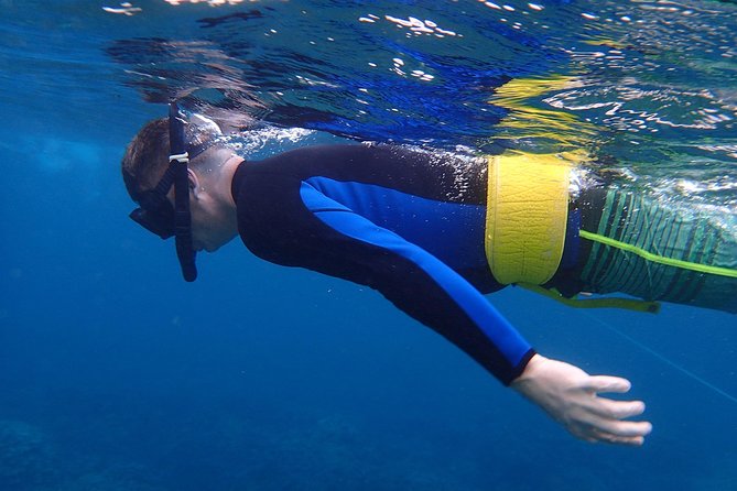 Four Winds Molokini Snorkeling Tour from Maalaea Harbor - Molokini Crater and nearly two hours in the water