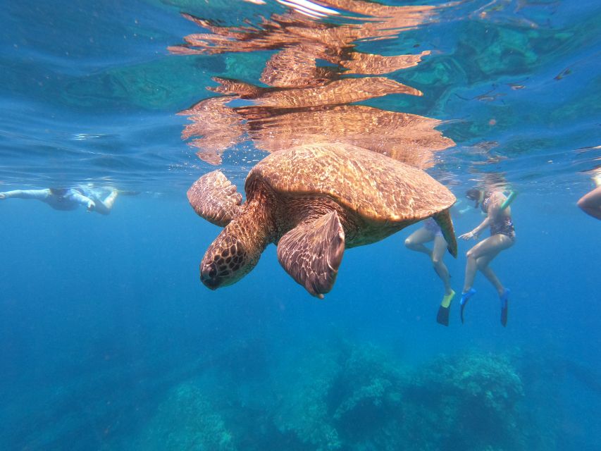 From Ka'anapali: West Maui Half-Day Snorkel Tour w/ Food - What the Four-Hour Water Time Feels Like
