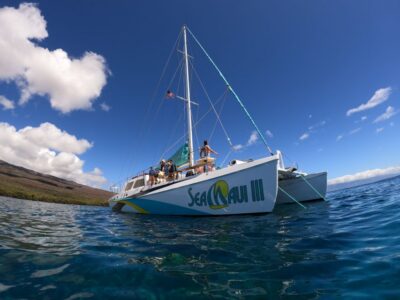 West Maui Half-Day Snorkel Tour w/ Food