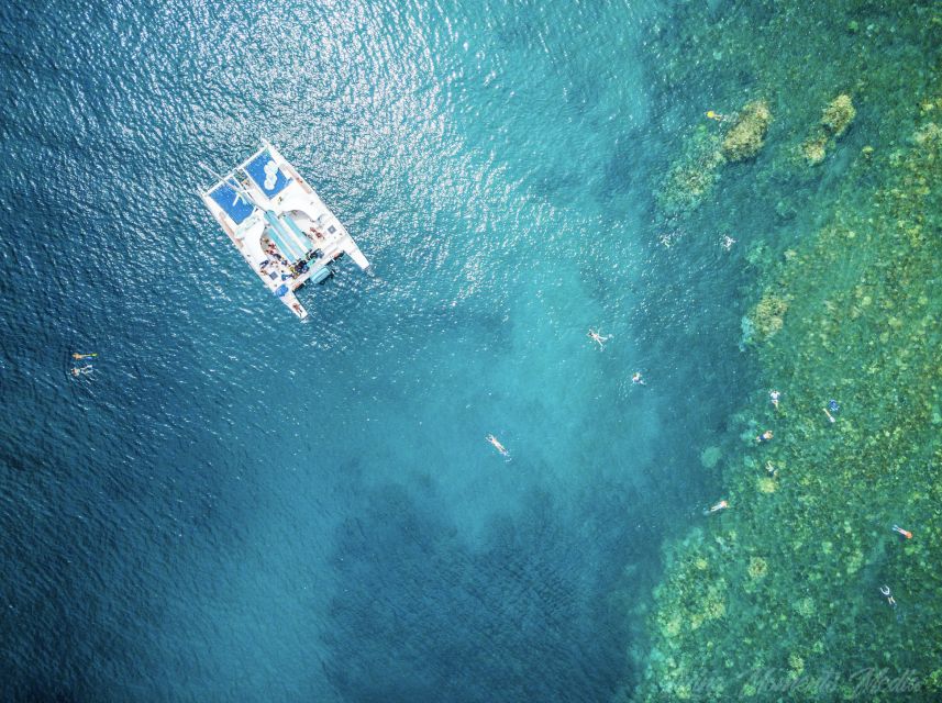 From Kaanapali: Afternoon West Maui Snorkeling w/ Drinks - Snorkeling West Maui’s coral reefs