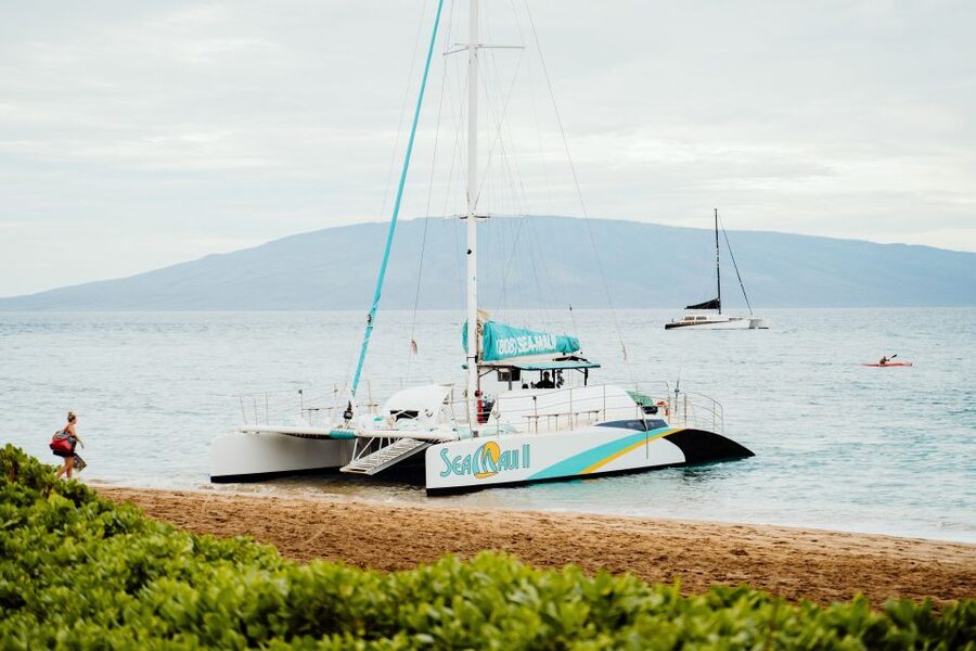From Kaanapali: Afternoon West Maui Snorkeling w/ Drinks - What the $156 price really covers
