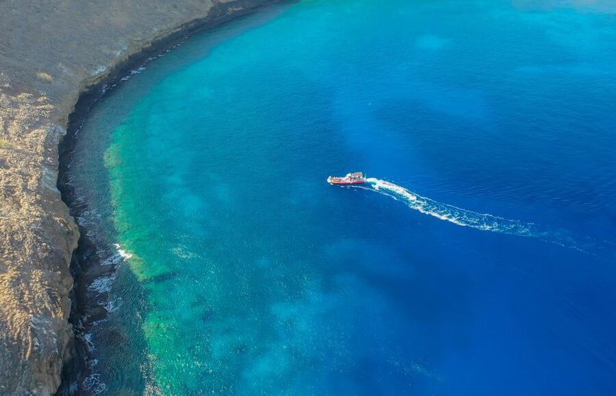 From Kihei: Molokini Crater and Turtle Town Snorkeling - Key points to know before booking