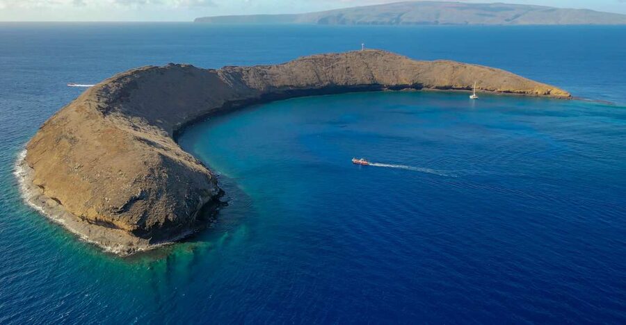 From Kihei: Molokini Crater and Turtle Town Snorkeling - Who will enjoy this trip most?