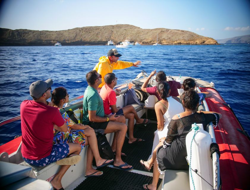 From Kihei: Molokini Crater and Turtle Town Snorkeling - Molokini Crater gives you Maui’s clearest fish-viewing