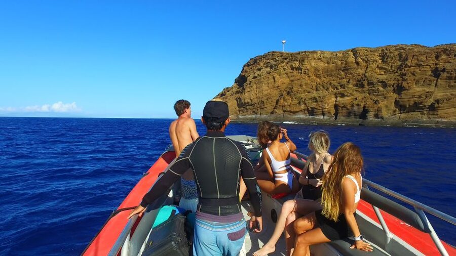 From Kihei: Molokini Crater and Turtle Town Snorkeling - What the crew adds to the experience