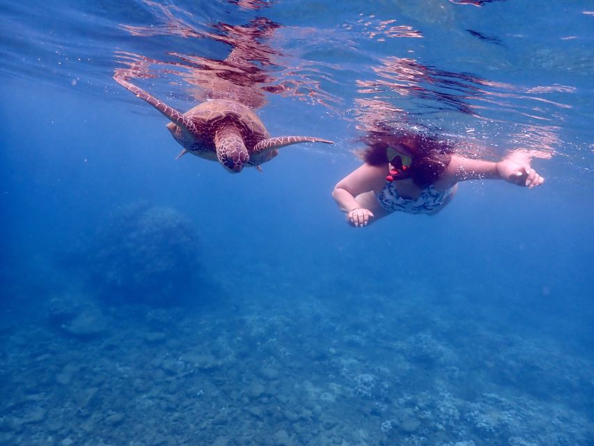 From Kihei: Molokini Crater and Turtle Town Snorkeling - The physical requirements are serious