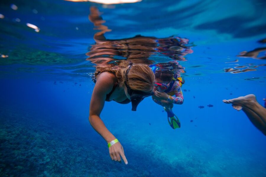 From Kihei: Molokini Crater and Turtle Town Snorkeling - When to book and what to pack