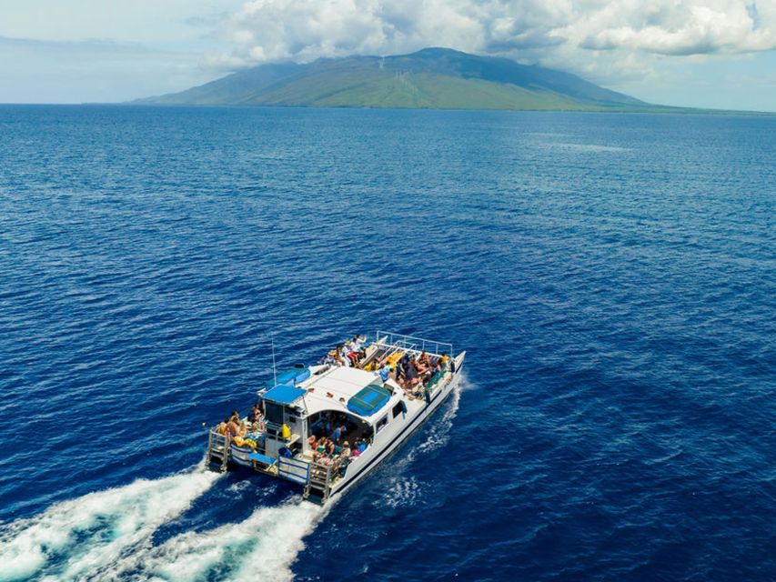 From Ma'alaea: Afternoon Whale Watch Tour Aboard the Malolo - Who will enjoy this whale watch most
