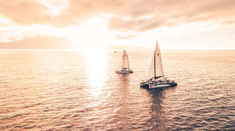 From Ma'alaea: 'Alihilani Sunset Sail Catamaran Tour - Practical tips for getting the most from Alihilani