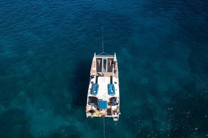 From Ma'alaea Harbor: Sunset Whale Watch Tour Aboard the Malolo - Who will enjoy this whale watch most