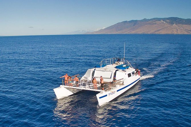From Ma'alaea Harbor: Whale Watch Cruise Aboard the Malolo - Maalaea Harbor at 3:30 pm
