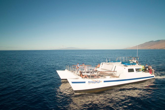 From Ma'alaea Harbor: Whale Watch Cruise Aboard the Malolo - Seating, shade, drinks, and bathrooms