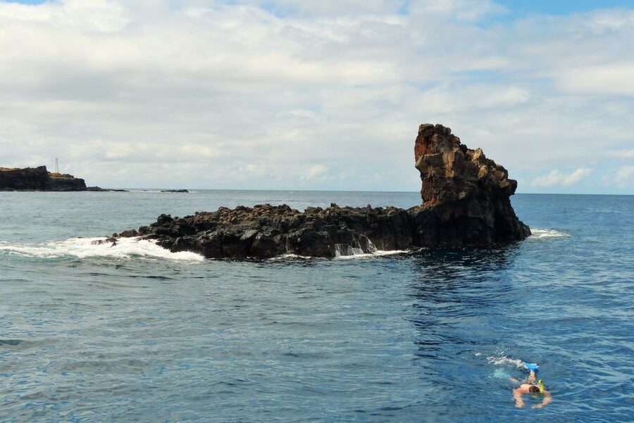 From Ma'alaea: Turtle Town Snorkel aboard Quicksilver - Cancellation, check-in, and useful planning details
