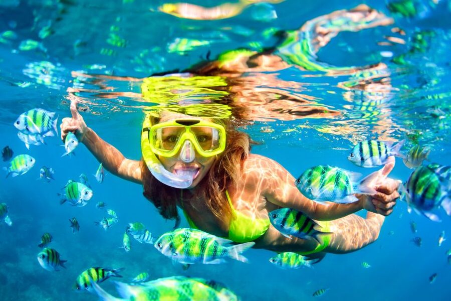 From Ma'alaea: Turtle Town Snorkel aboard Quicksilver - Why this works for first-time snorkelers
