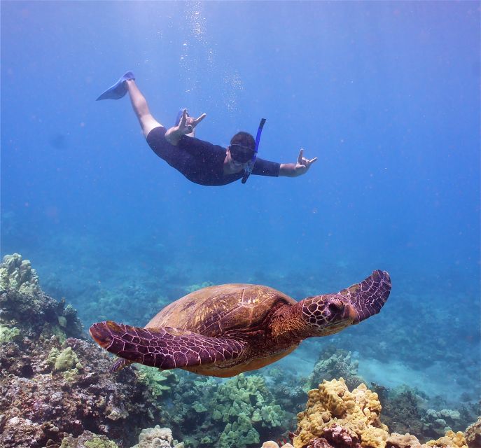 From Ma'alaea: Turtle Town Snorkel aboard Quicksilver - The ride across Maalaea Bay