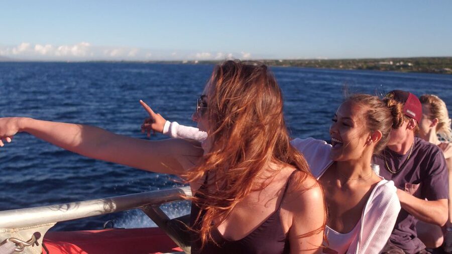 From Maalaea: Whale Watching Catamaran Cruise with Drinks - Views of West Maui, Molokai, and Lanai
