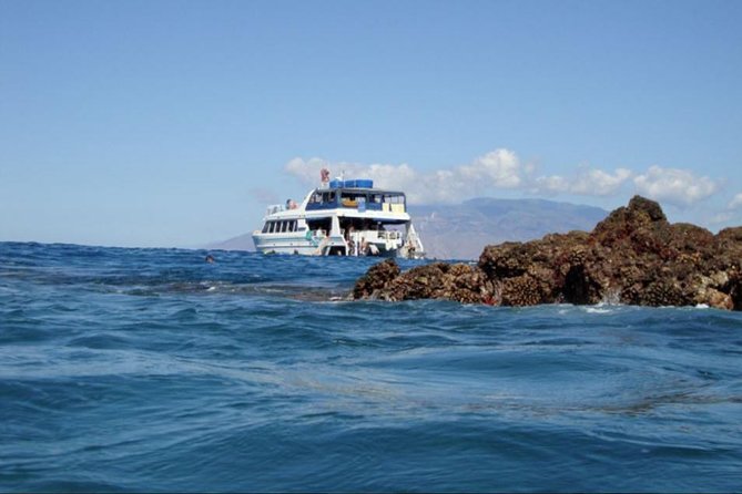 From Maalaea: Whale Watching Tour Aboard the Quicksilver - Drinks, shade, and family comfort