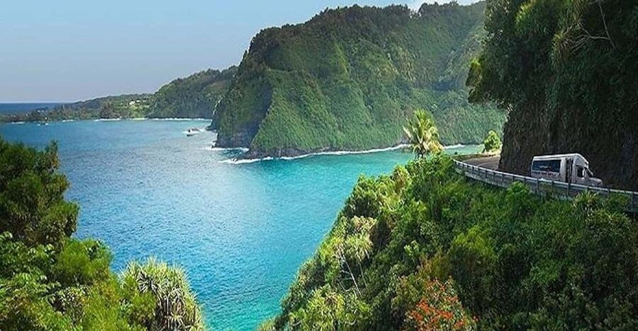 From Maui: Road to Hana Rainforest and Waterfall Experience - The rainforest drive and its many small moments