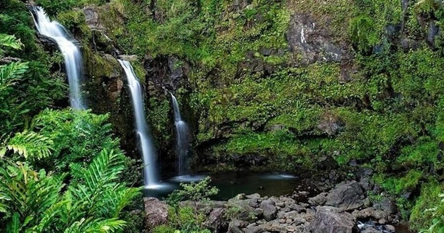 From Maui: Road to Hana Rainforest and Waterfall Experience - Is $219 a fair price?