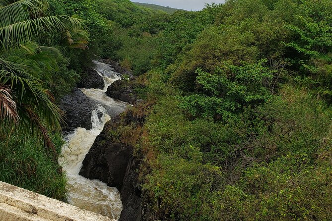 Full-Circle "Reverse" - Luxury Road to Hana Tour from South Maui - Kipahulu and the southern Haleakala coast