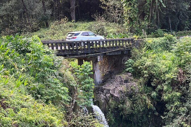 Full Day Private Maui Waterfall, Beach & Hana Tour - Huelo supplies snacks and a green roadside view